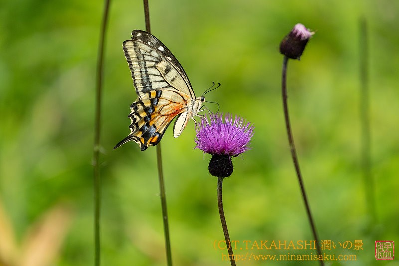 ../Images/7R24.07 26 (103).jpg